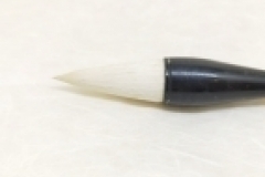 tg-006863(2)