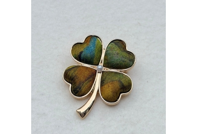 WhatsApp Image 2026-01-22 at 14.59.59 (3)