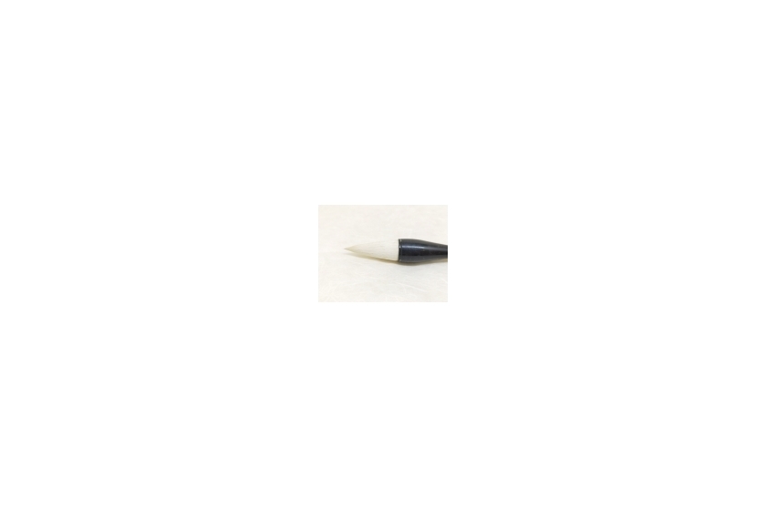 tg-006863(2)
